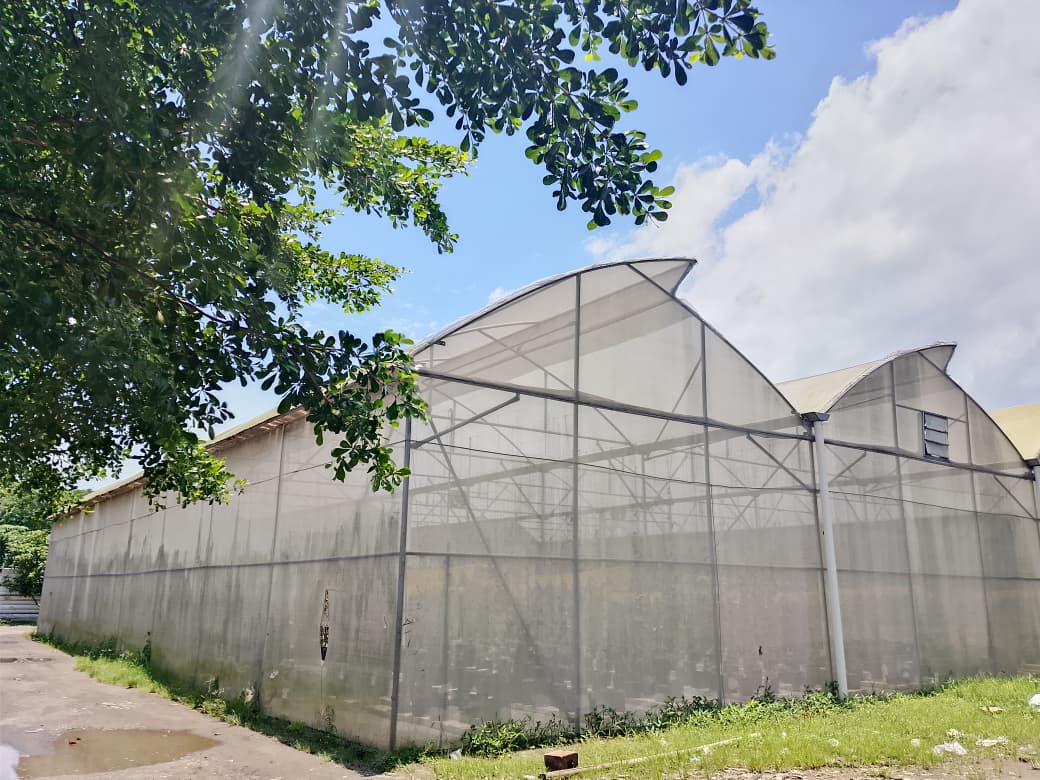 ASA GREEN : Solusi unik, Cerdas, Budidaya Tanaman